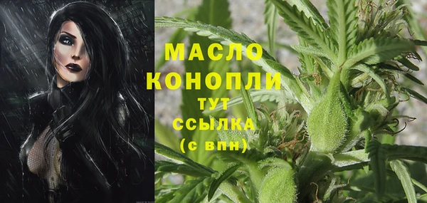 PSILOCYBIN Аркадак